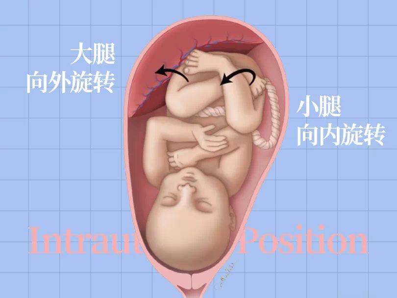 SPI足底压力分布计量