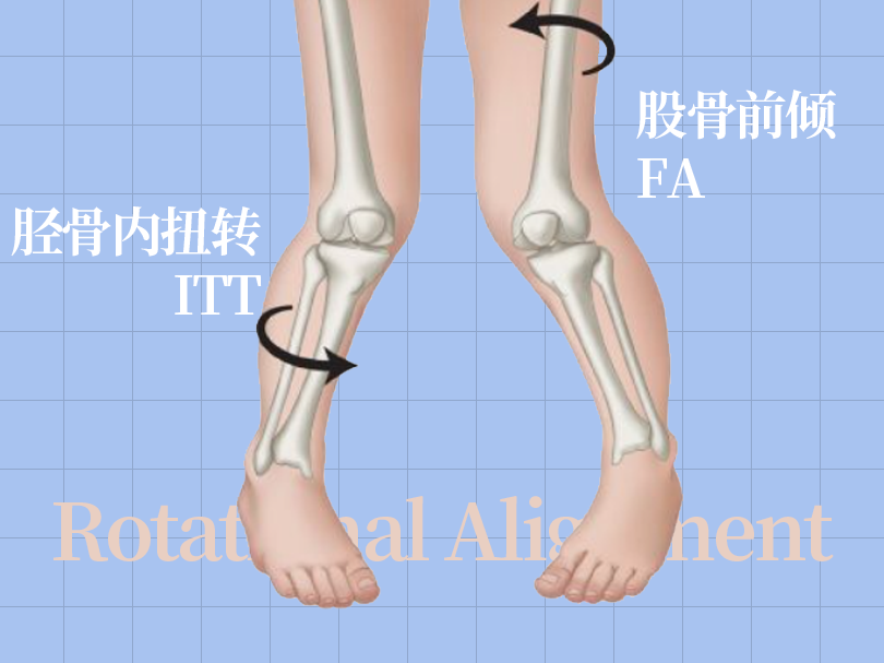 SPI足底压力分布计量